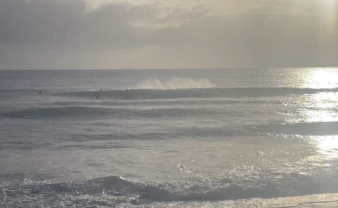 211222 Spinksy's Sunshine Coast Surf Report. Sunshine Coast Surf